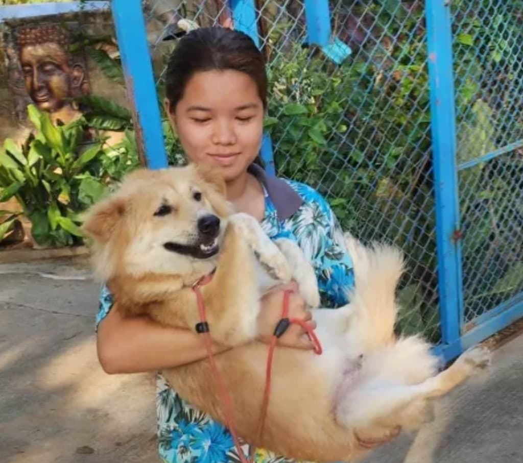 Volunteer affectionately holding a rescued dog at Saved Souls Foundation