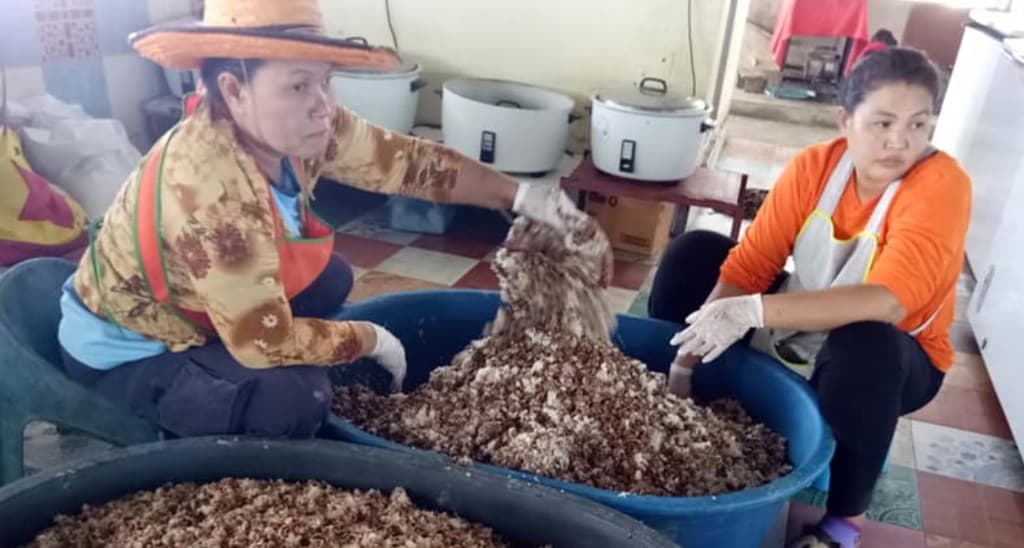 Kakitangan menyediakan makanan untuk ratusan anjing dan kucing