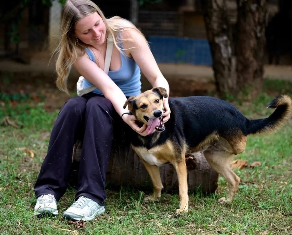 Close-up of Clover, a scruffy rescued dog — donations fund daily food, medical care, and rehabilitation