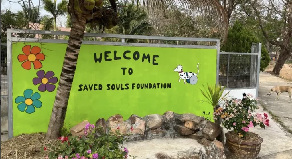 Hand-painted Welcome to Saved Souls Foundation sign with wheelchair dog mascot at the sanctuary entrance
