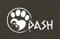 DASH Dogs