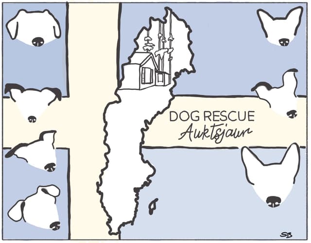 Dog Rescue Auktsjaur