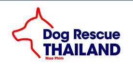 Dog Rescue Thailand