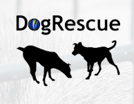 DogRescue Sweden