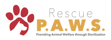 Rescue P.A.W.S. Thailand