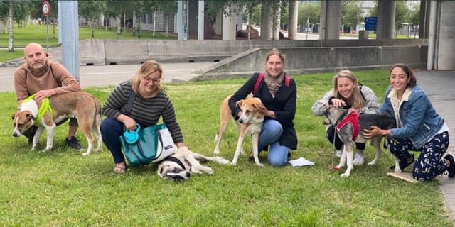 Stichting Adopt.nl