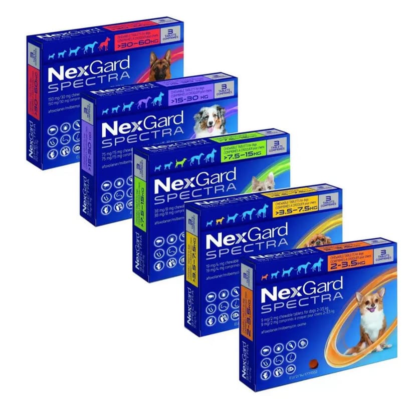 NexGard Spectra chewable tablets for dogs, various weight categories