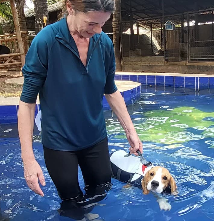 Volunteer with dog in swimming therapy pool at Saved Souls Foundation