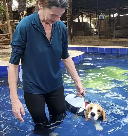 Swimming therapy for a rescued dog