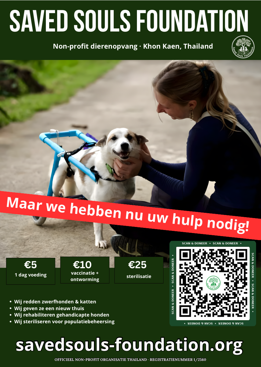 Saved Souls Foundation nieuwe flyer