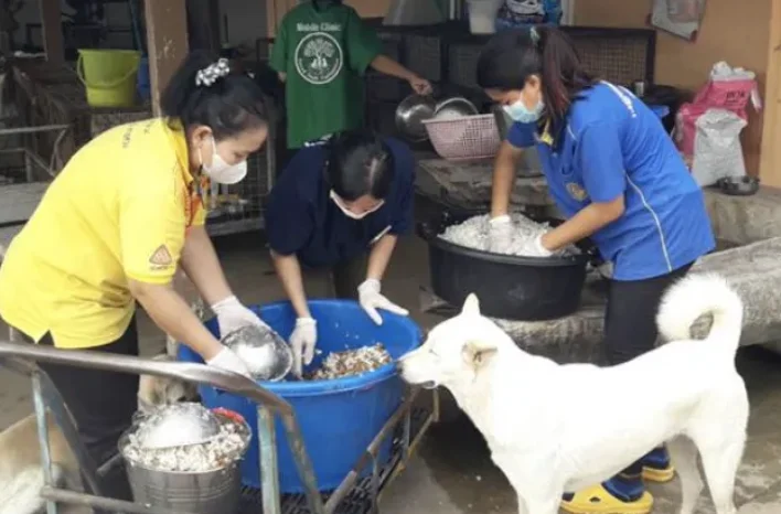 Staff preparing food for the animals
