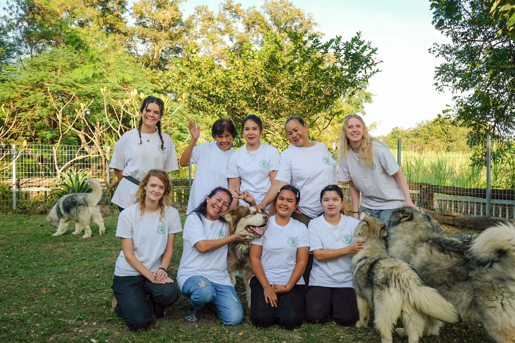 Team and volunteers with rescued dogs